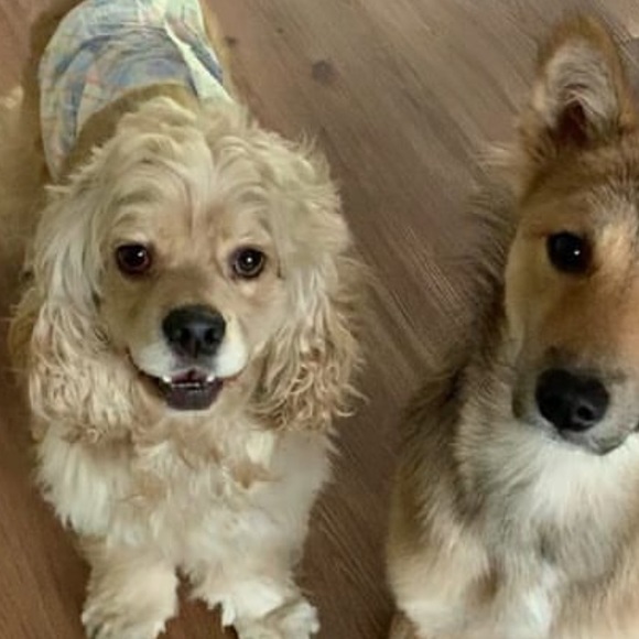 โก๏ธ๐ WELCOME TO 2ND BOHO CLOSET ๐โก๏ธ - Picture 10 of 16